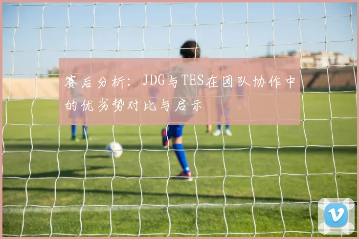 赛后分析：JDG与TES在团队协作中的优劣势对比与启示